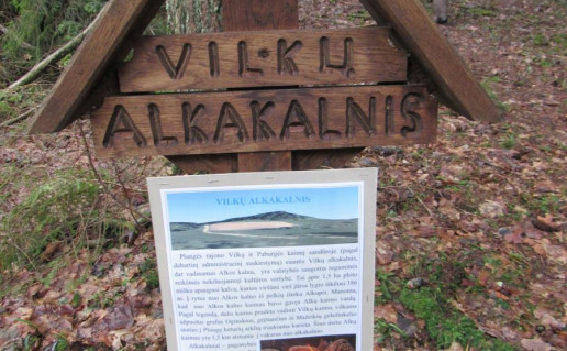 26_Stendas prie Vilku alkakalnio. A.Brazdeikytes n.jpg